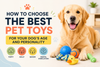 How to Choose the Best Pet Toys for Every Dog | The Curated Pet