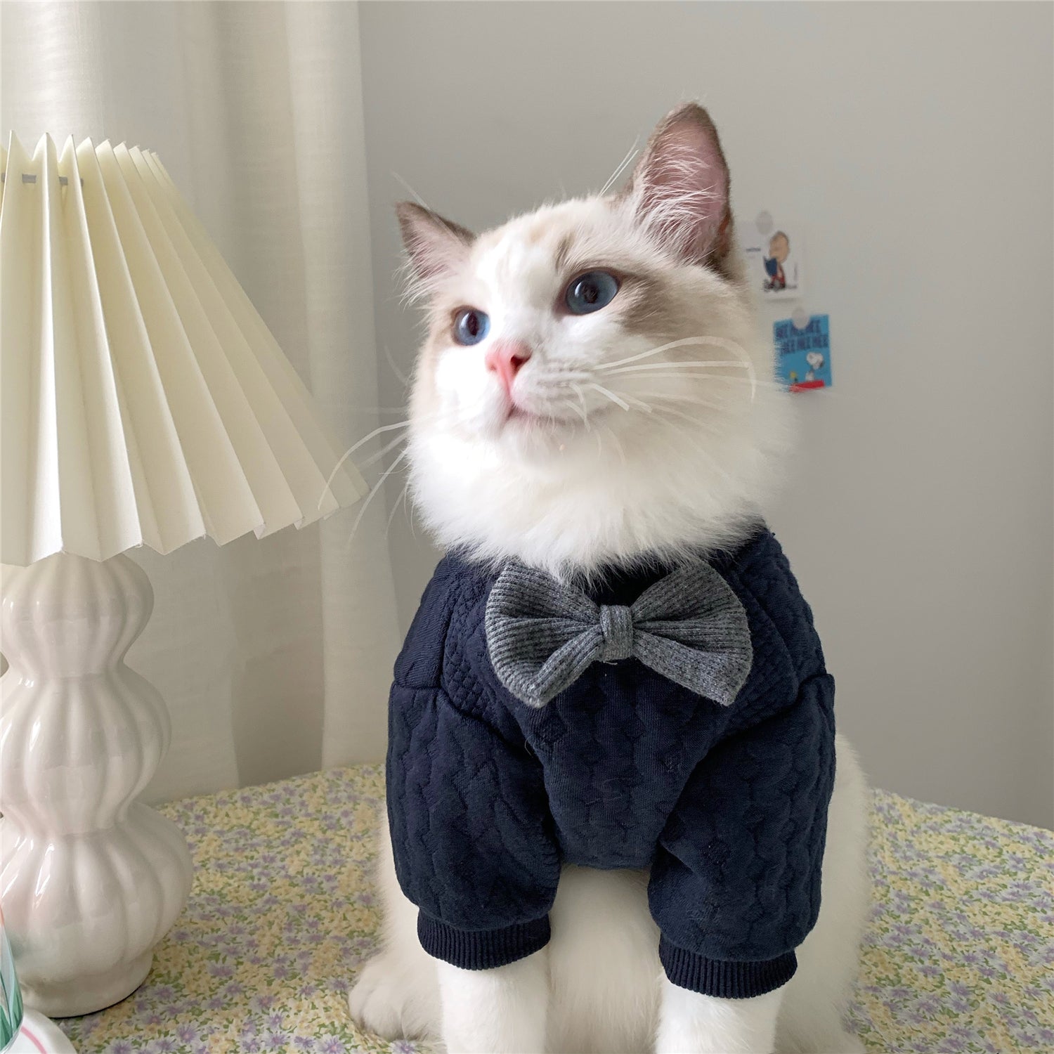 Pets Apparel