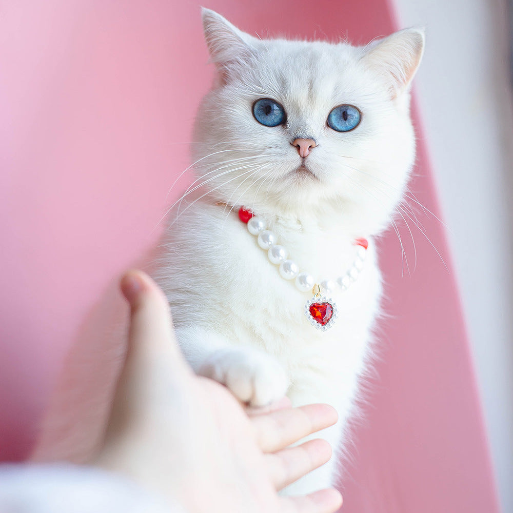 Pets Apparel
